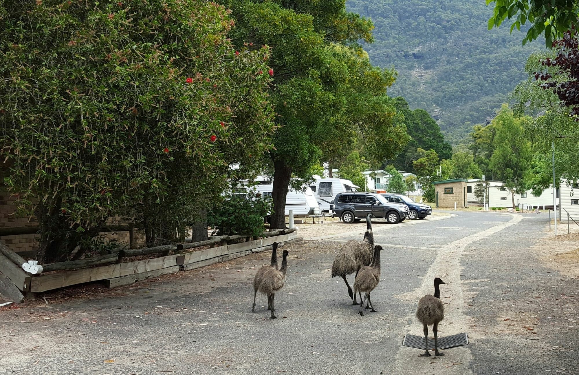 Breeze Holiday Parks - ฮอลส์แกป ภายนอก รูปภาพ